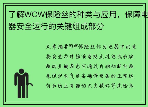 了解WOW保险丝的种类与应用，保障电器安全运行的关键组成部分